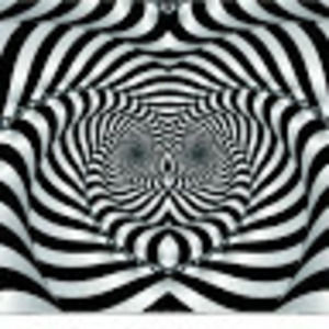 Meet your Posher, Jax